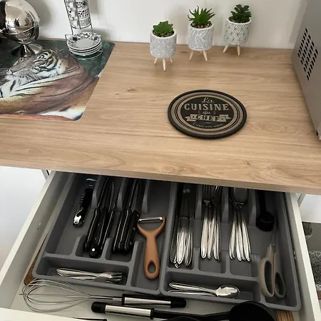 T2, 4 Couchages Avec Terrasse Privee, Proche De La Cure Thermale, Centre-ville Apartament Amélie-les-Bains-Palalda