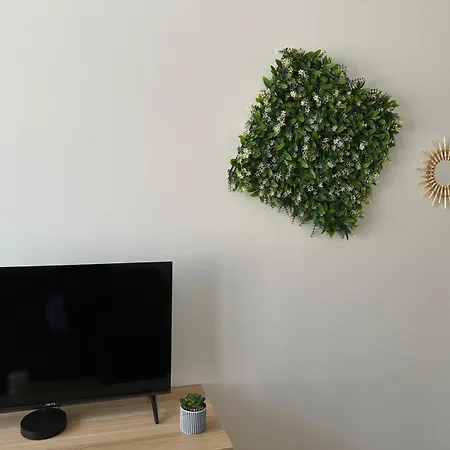 T2, 4 Couchages Avec Terrasse Privee, Proche De La Cure Thermale, Centre-ville Apartament