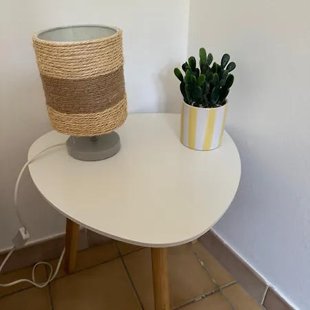 Apartament T2, 4 Couchages Avec Terrasse Privee, Proche De La Cure Thermale, Centre-ville Amélie-les-Bains-Palalda