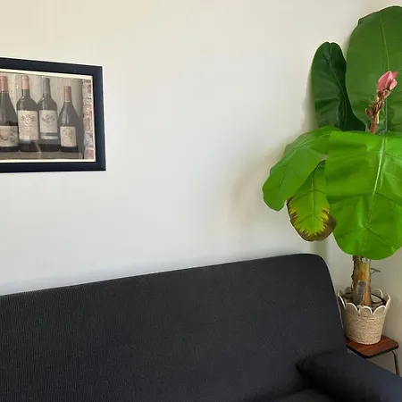 아파트 T2, 4 Couchages Avec Terrasse Privee, Proche De La Cure Thermale, Centre-ville 아멜리에레방팔랄다